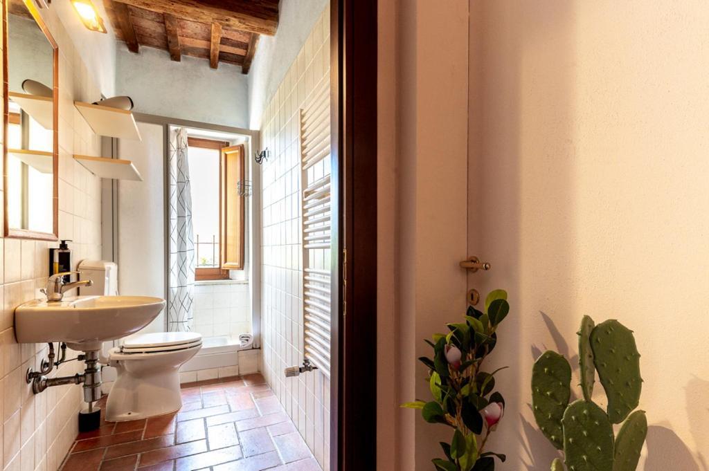 Massa Alta B&B E Appartamenti マッサ・マリッティマ エクステリア 写真